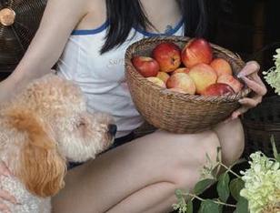 黑料尽在17c吃瓜网址，谁能抵挡这波信息大潮