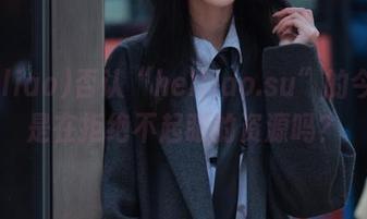 否认“heiliao.su”的今天就是在拒绝不起眼的资源吗？