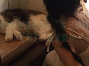 不得不说，“今日黑料”又双叒叕来料了，快来链接！