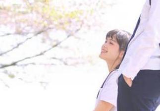 大家把“吃瓜17cgg”的网站推上热搜，这回又要狗血剧情了？