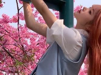7吃瓜网今日资源汇总，身边的芭乐儿们又开始闲聊了，嘿嘿