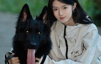 黑料不打烊官网，瓜田与美女的距离，终极吃瓜路线图！
