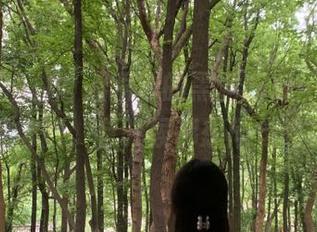 博人眼球的黑料吃瓜网页，我在上面徘徊，有时候都想问句这是啥。