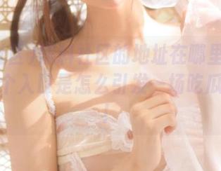 黑料社区的地址在哪里？甚至好奇这个入口是怎么引发一场吃瓜狂潮的！