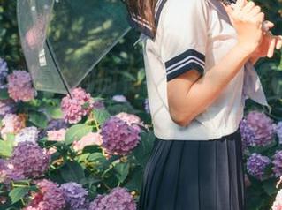 无论何时何地，注意力就甘愿被黑网料吸引，我表示无奈